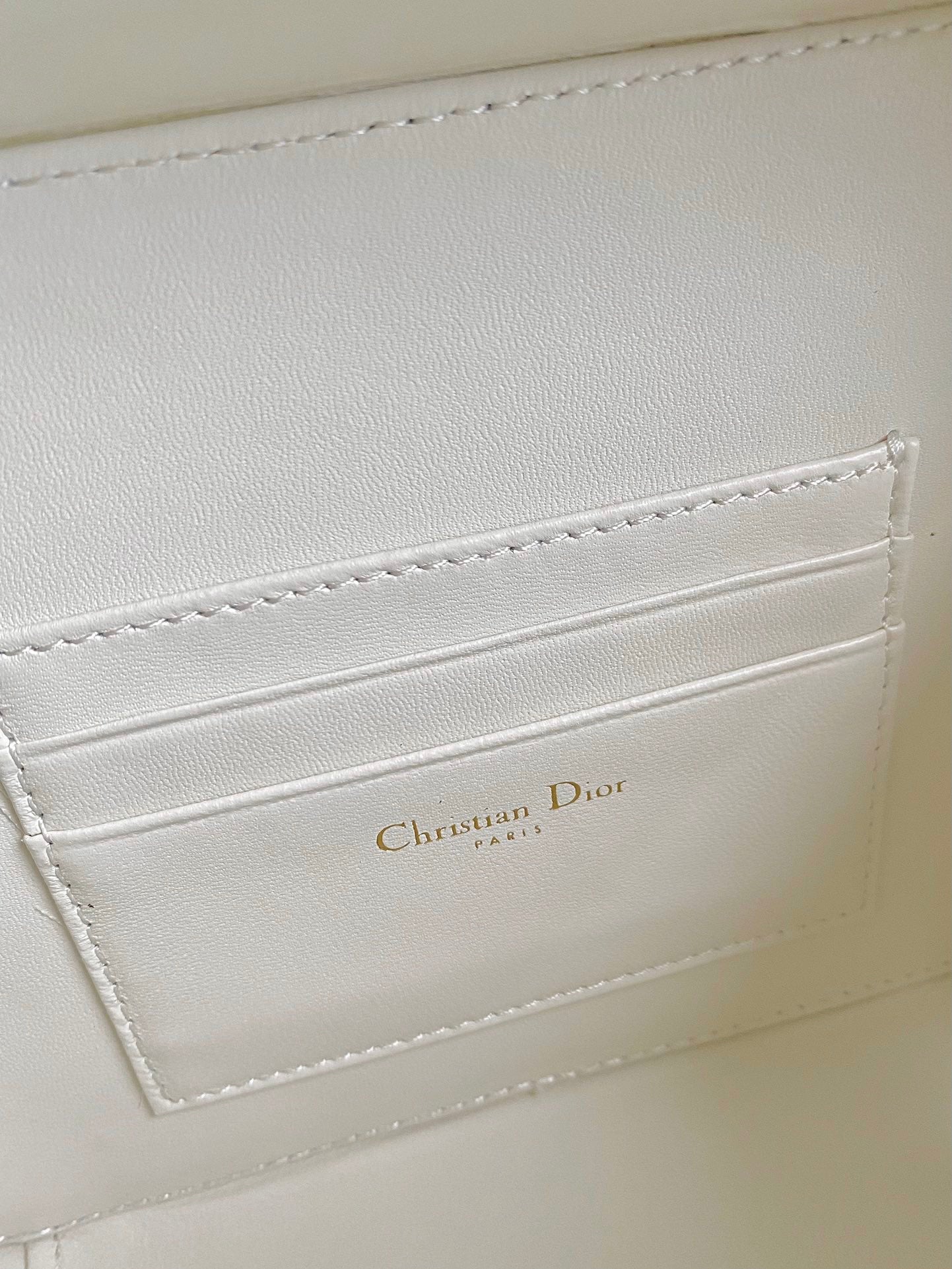 CARO 18 CAMERA BAG IN WHITE CALFSKIN